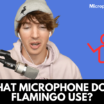 What Microphone Does Flamingo Use?